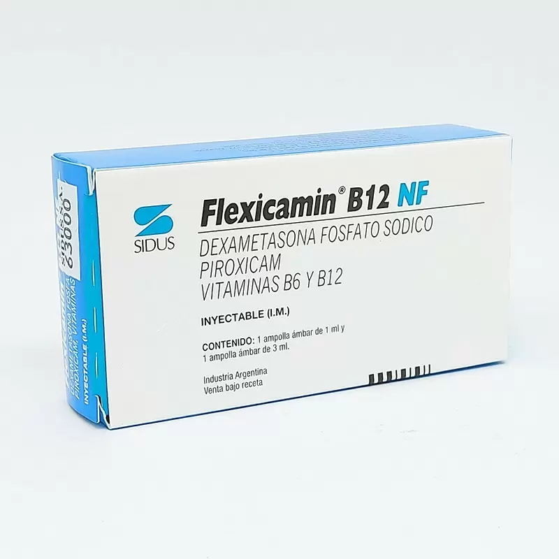 FLEXICAMIN B12 CAJA X 1 AMP