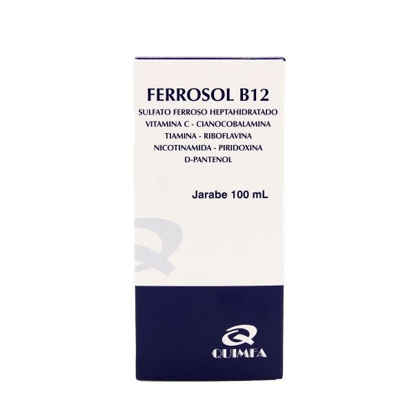 FERROSOL B12 JARABE FCO X 100 ML